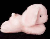 Eden Bunny Rabbit Pink Plush Rattle Stuffed Animal Lovey Toy
